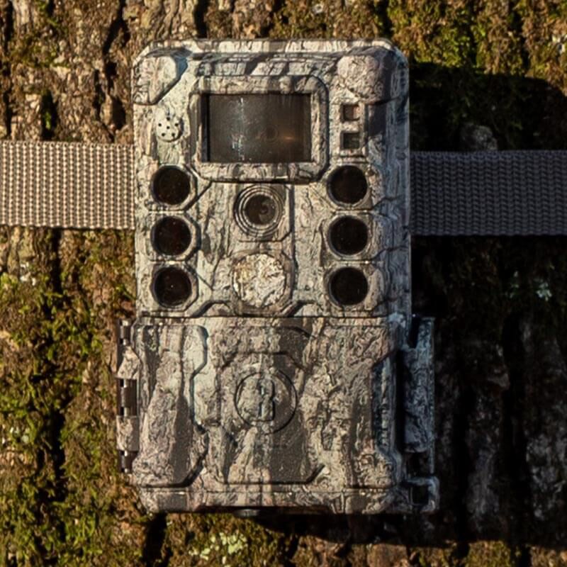 119949C_In_the_field_2